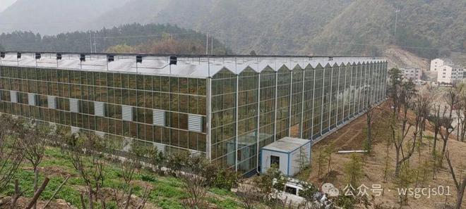 智能玻璃温室大棚的用途是什么？常见的配置有哪些kaiyun中