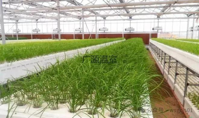 智能玻璃温室大棚的用途是什么?常见的配置有哪些kaiyun中国官方网站(图3) 智能玻璃温室大棚的用途是什么?常见的配置有哪些kaiyun中国官方网站(图3)