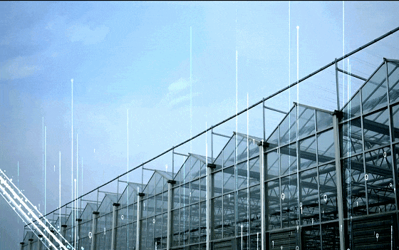 智能玻璃温室大棚的用途是什么?常见的配置有哪些kaiyun中国官方网站(图7) 智能玻璃温室大棚的用途是什么?常见的配置有哪些kaiyun中国官方网站(图7)