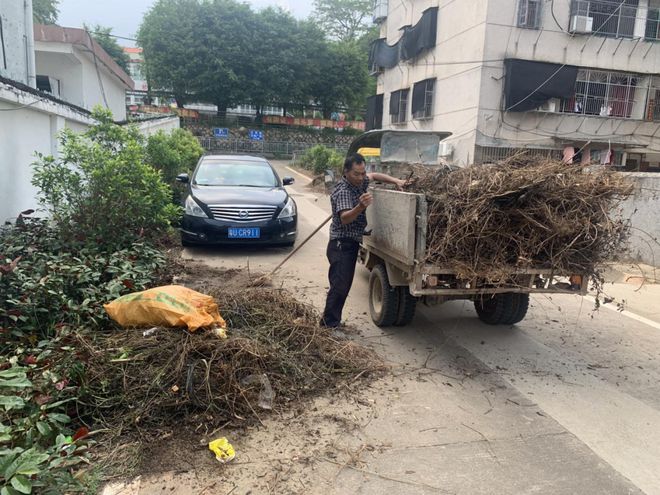 kaiyun【聚焦“百千万工程”】潮安区全域风貌整治提升8月24日各镇场工作动态(图3)
