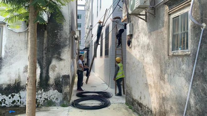 kaiyun【聚焦“百千万工程”】潮安区全域风貌整治提升8月24日各镇场工作动态(图11)