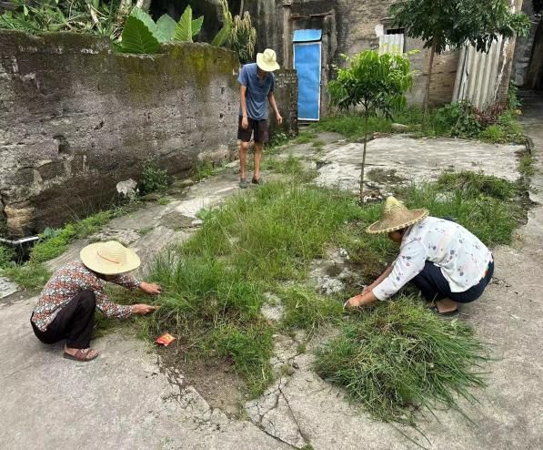 kaiyun【聚焦“百千万工程”】潮安区全域风貌整治提升8月24日各镇场工作动态(图21)