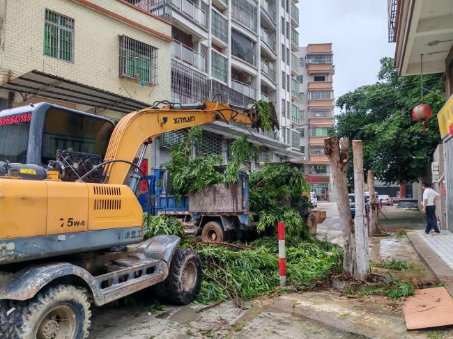 kaiyun【聚焦“百千万工程”】潮安区全域风貌整治提升8月24日各镇场工作动态(图26)