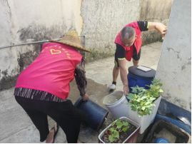 【聚焦“百千万工程”】潮安区全域风貌整治提升9月15日各镇场工作动态(图5) 【聚焦“百千万工程”】潮安区全域风貌整治提升9月15日各镇场工作动态(图5)