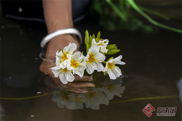 牢记嘱托再奋进