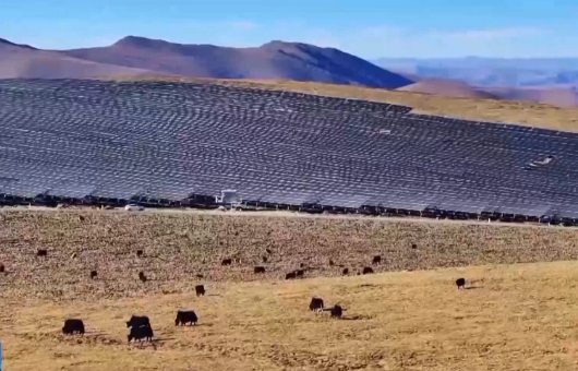 5228米！全球海拔最高光伏项目在西藏并网发电(图3)