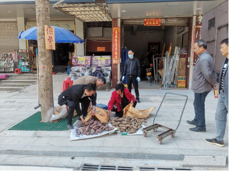 坡头区政府网站(图2) 坡头区政府网站(图2)