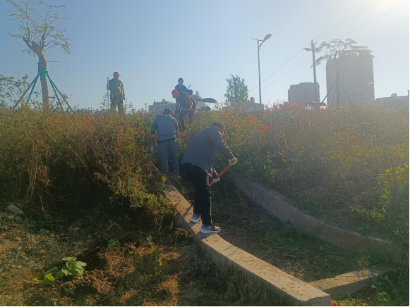 坡头区政府网站(图6) 坡头区政府网站(图6)