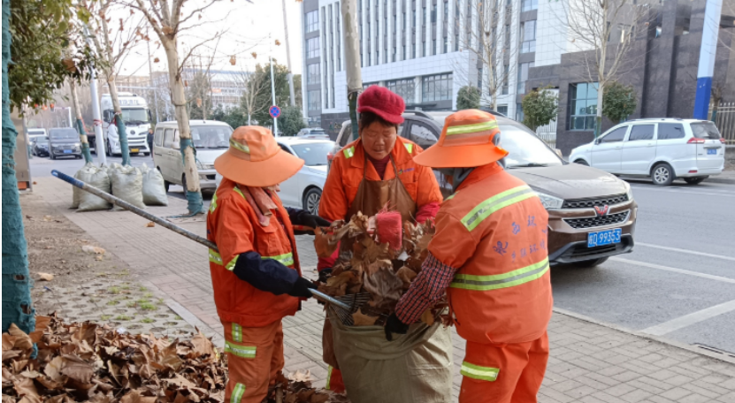 肥西县紫蓬镇：“三力齐发”精绣城市治理(图3)