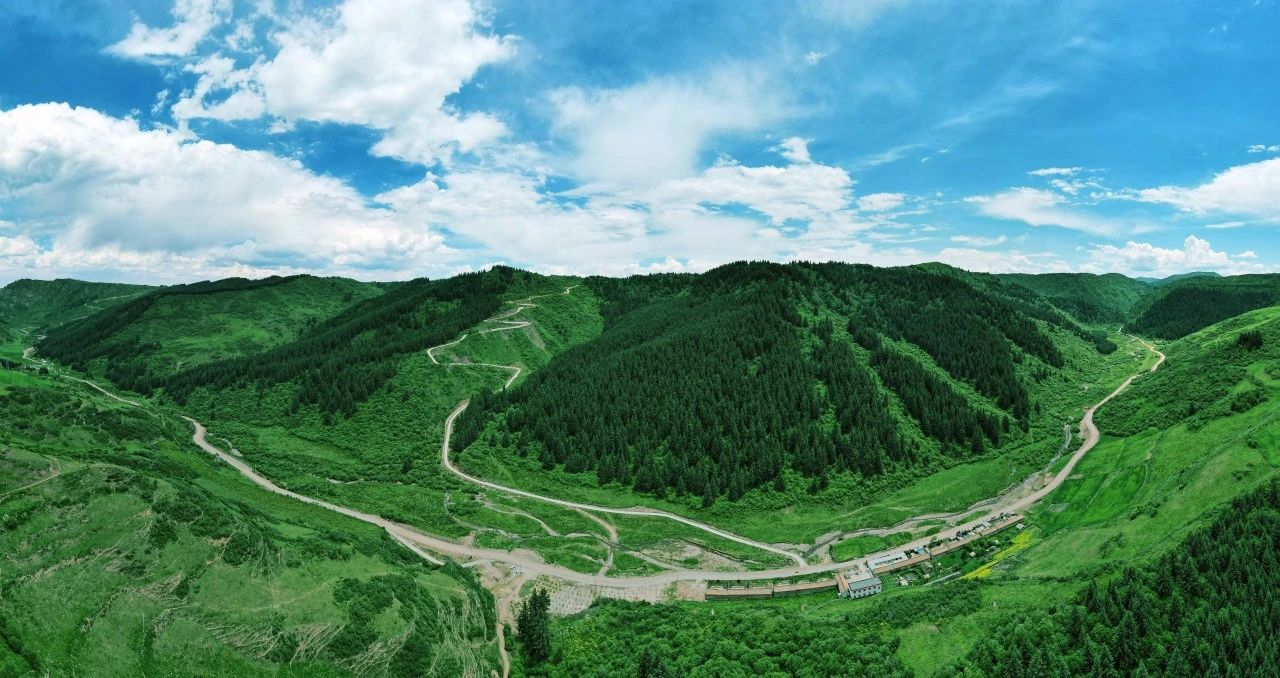 甘肃漳县：以“绿”为墨 绘就生态华章