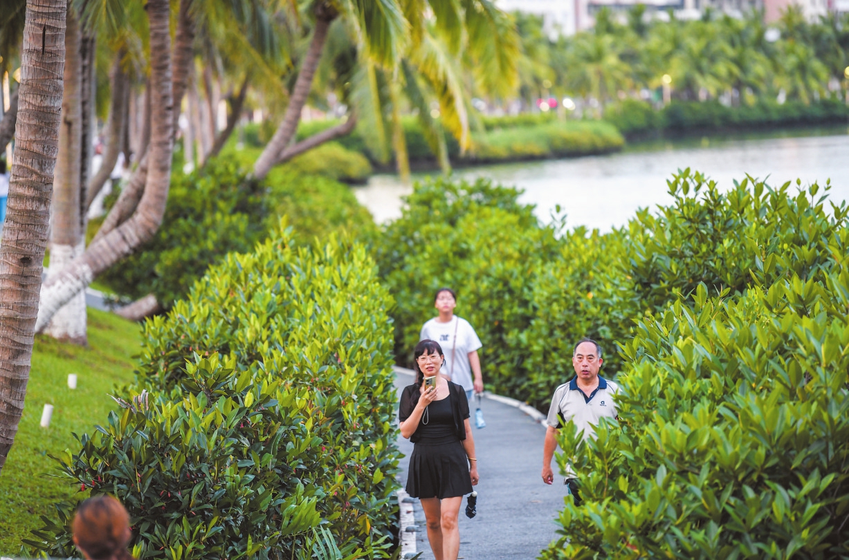 打出空间再造、生态屏障与科技赋能的“组合拳” 建清凉城市 海口有“秘方”(图2)