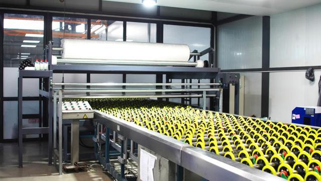 创新驱动·行业先锋：行业内首家国家级专精特新“小巨人”为何是汉狮？(图5)