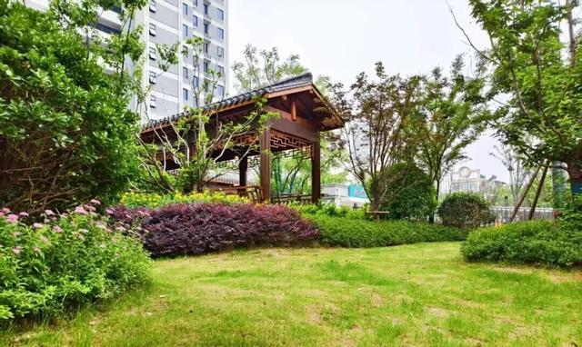 闲置地块→街角游园提升蚌埠居民幸福感！(图3)