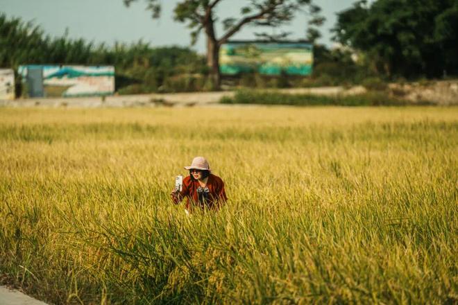 新津河碧道即将全线公里生态廊道(图2) 新津河碧道即将全线公里生态廊道(图2)