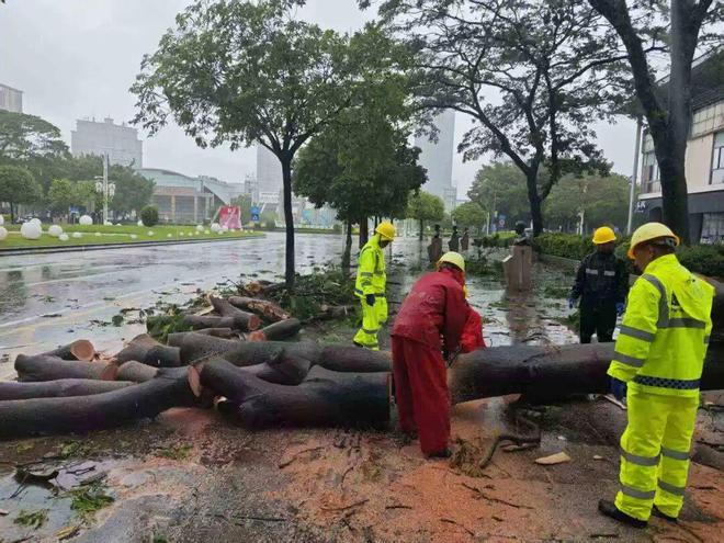 图集|蓬江城管时刻在线年城市管理各类投诉同比下降1635%(图5) 图集|蓬江城管时刻在线年城市管理各类投诉同比下降1635%(图5)