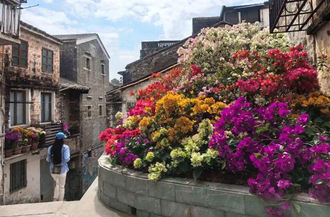 图集|蓬江城管时刻在线年城市管理各类投诉同比下降1635%(图13) 图集|蓬江城管时刻在线年城市管理各类投诉同比下降1635%(图13)