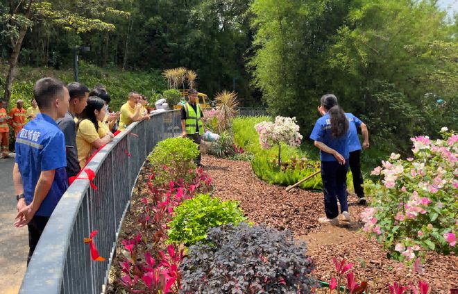 图集|蓬江城管时刻在线年城市管理各类投诉同比下降1635%(图14) 图集|蓬江城管时刻在线年城市管理各类投诉同比下降1635%(图14)