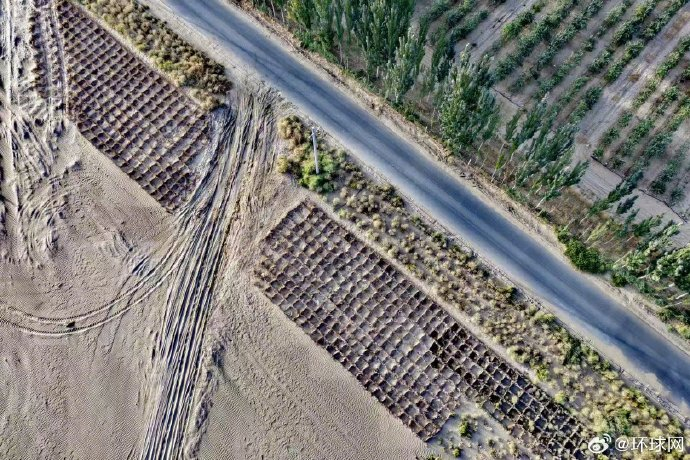 沙漠光伏如何从‘死亡之海’变身‘能源森林’？