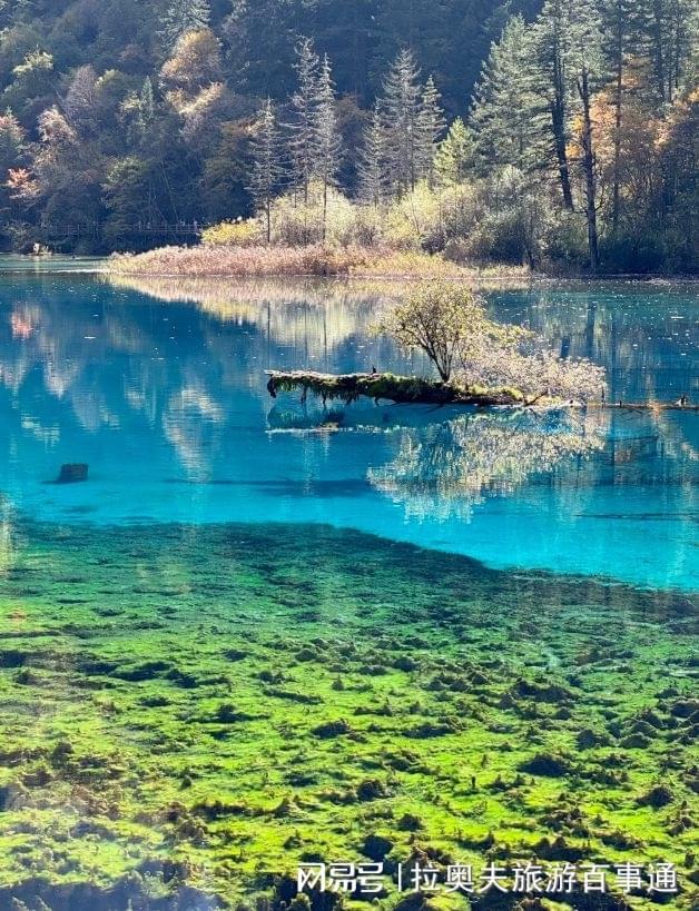 四川旅游7日游安排成都乐山报团线路详细攻略(图2)