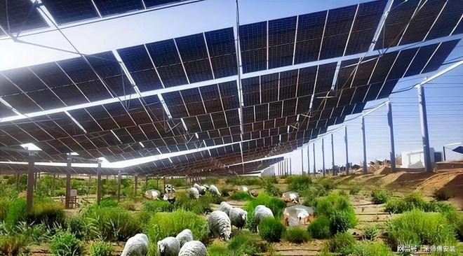 美国卫星发现中国花115亿在沙漠里铺满光伏板结果震惊了(图1)